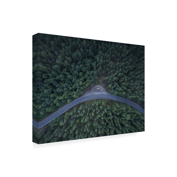 Christian Lindsten 'From Above Forest' Canvas Art,35x47